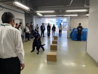 麻薬探知犬の検査風景見学